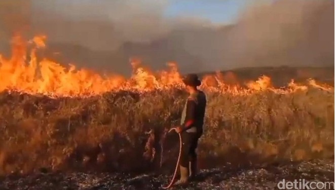 Mafia39 Slot Demo : Flare Prewedding Diduga Menjadi Biang Kerok Kebakaran Di Gunung Bromo
